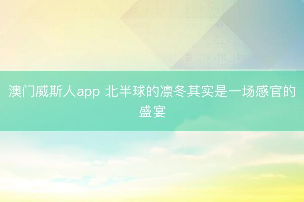 澳门威斯人app 北半球的凛冬其实是一场感官的盛宴