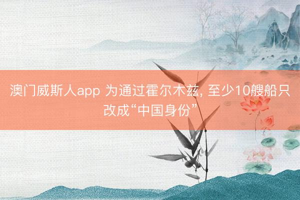 澳门威斯人app 为通过霍尔木兹， 至少10艘船只改成“中国身份”