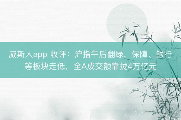 威斯人app 收评:沪指午后翻绿,保障、银行等板块走低,全A成交额靠拢4万亿元