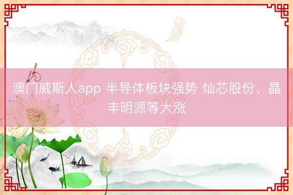 澳门威斯人app 半导体板块强势 灿芯股份、晶丰明源等大涨