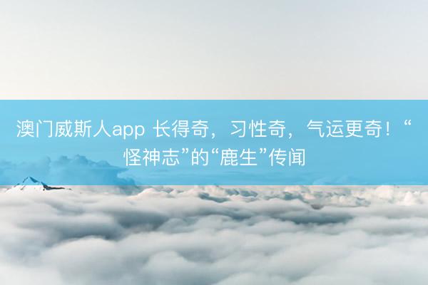澳门威斯人app 长得奇，习性奇，气运更奇！“怪神志”的“鹿生”传闻