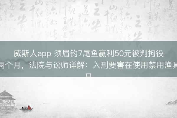 威斯人app 须眉钓7尾鱼赢利50元被判拘役两个月，法院与讼师详解：入刑要害在使用禁用渔具