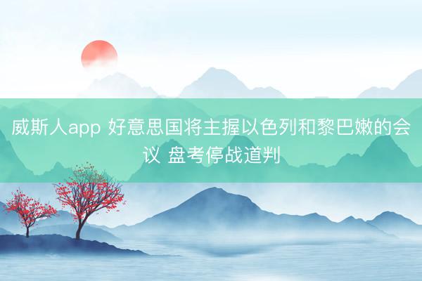 威斯人app 好意思国将主握以色列和黎巴嫩的会议 盘考停战道判