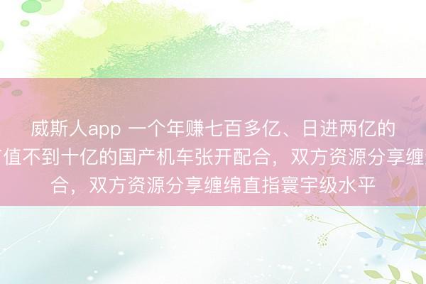 威斯人app 一个年赚七百多亿、日进两亿的电板巨头，联手市值不到十亿的国产机车张开配合，双方资源分享缠绵直指寰宇级水平