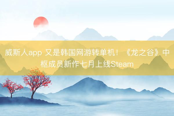 威斯人app 又是韩国网游转单机!《龙之谷》中枢成员新作七月上线Steam