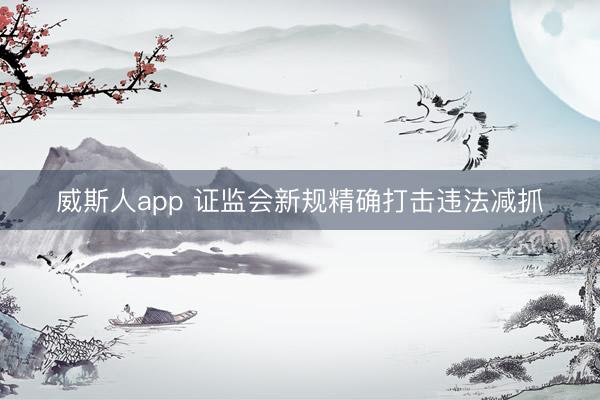 威斯人app 证监会新规精确打击违法减抓