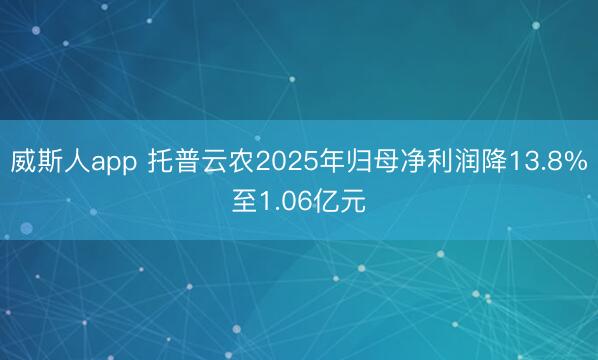 威斯人app 托普云农2025年归母净利润降13.8%至1.06亿元