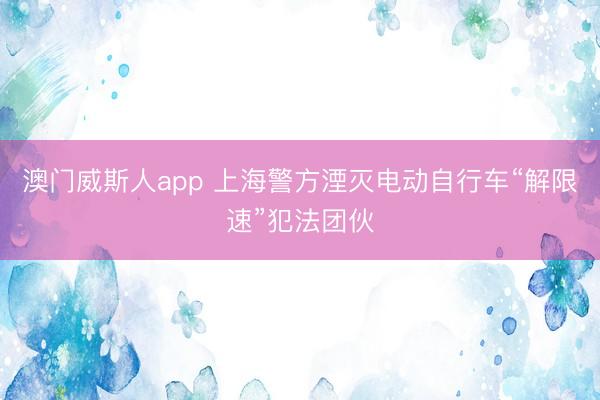 澳门威斯人app 上海警方湮灭电动自行车“解限速”犯法团伙