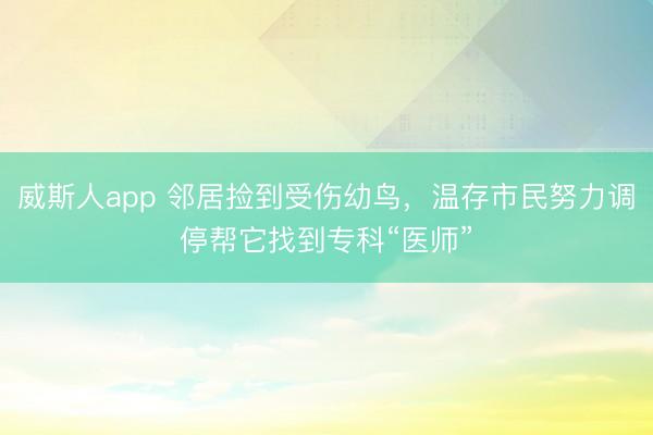 威斯人app 邻居捡到受伤幼鸟，温存市民努力调停帮它找到专科“医师”