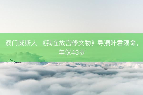 澳门威斯人 《我在故宫修文物》导演叶君陨命，年仅43岁