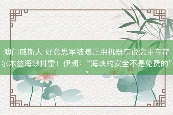 澳门威斯人 好意思军被曝正用机器东说念主在霍尔木兹海峡排雷！伊朗：“海峡的安全不是免费的”