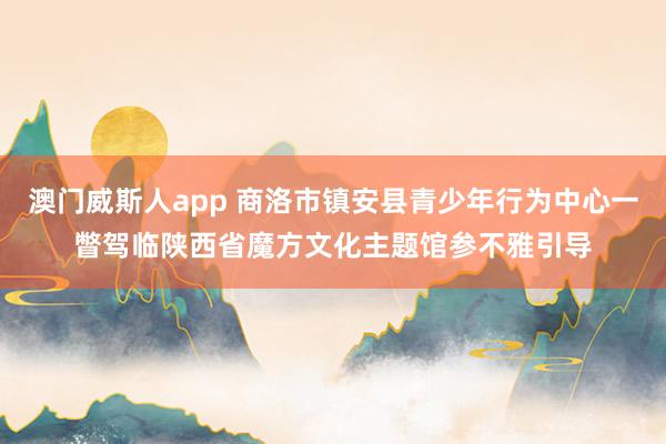 澳门威斯人app 商洛市镇安县青少年行为中心一瞥驾临陕西省魔方文化主题馆参不雅引导