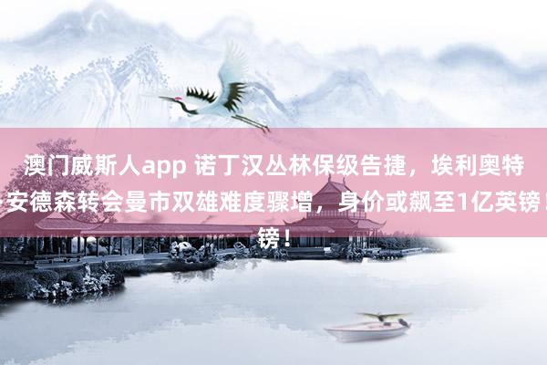 澳门威斯人app 诺丁汉丛林保级告捷，埃利奥特·安德森转会曼市双雄难度骤增，身价或飙至1亿英镑！
