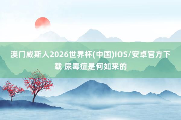 澳门威斯人2026世界杯(中国)IOS/安卓官方下载 尿毒症是何如来的
