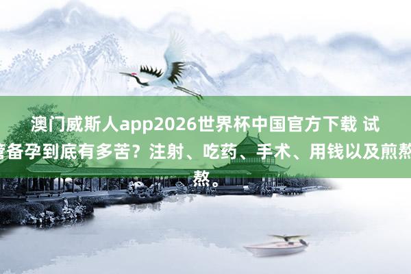 澳门威斯人app2026世界杯中国官方下载 试管备孕到底有多苦？注射、吃药、手术、用钱以及煎熬。