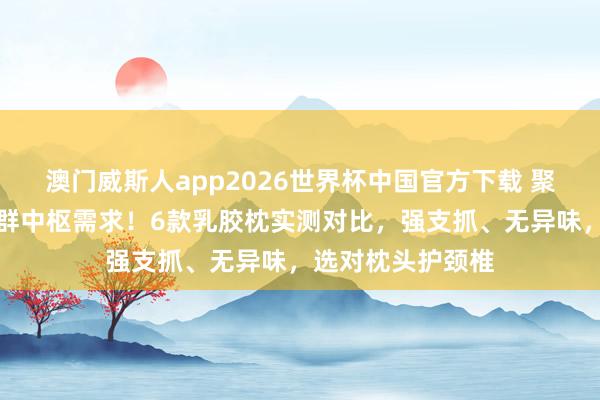 澳门威斯人app2026世界杯中国官方下载 聚焦仰睡东说念主群中枢需求！6款乳胶枕实测对比，强支抓、无异味，选对枕头护颈椎