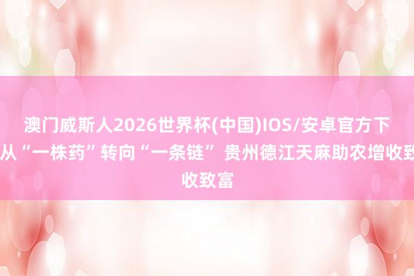 澳门威斯人2026世界杯(中国)IOS/安卓官方下载 从“一株药”转向“一条链” 贵州德江天麻助农增收致富