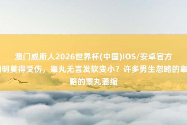 澳门威斯人2026世界杯(中国)IOS/安卓官方下载 明明莫得受伤，睾丸无言发软变小？许多男生忽略的睾丸萎缩