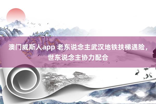 澳门威斯人app 老东说念主武汉地铁扶梯遇险，世东说念主协力配合