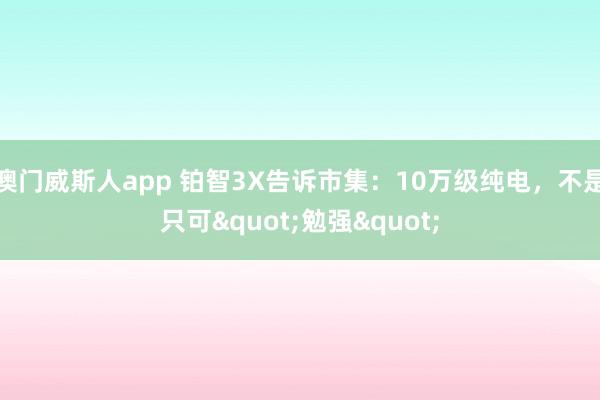 澳门威斯人app 铂智3X告诉市集：10万级纯电，不是只可"勉强"