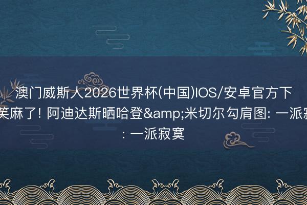 澳门威斯人2026世界杯(中国)IOS/安卓官方下载 笑麻了! 阿迪达斯晒哈登&米切尔勾肩图: 一派寂寞