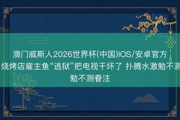 澳门威斯人2026世界杯(中国)IOS/安卓官方下载 烧烤店雇主鱼“逃狱”把电视干坏了 扑腾水激勉不测眷注