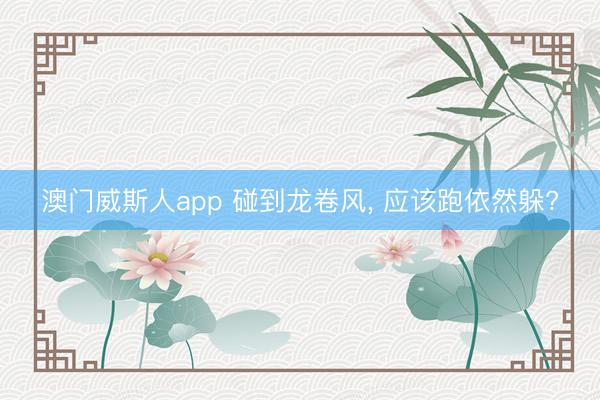 澳门威斯人app 碰到龙卷风， 应该跑依然躲?