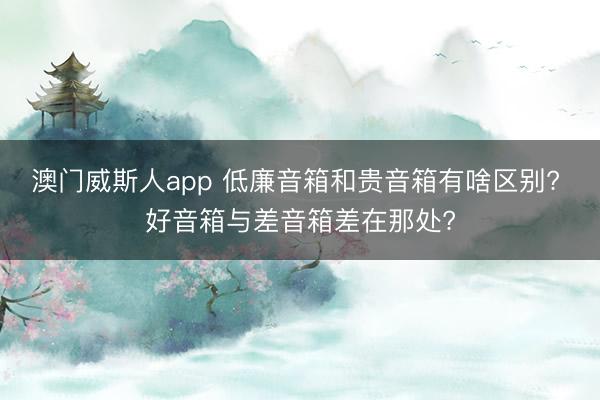 澳门威斯人app 低廉音箱和贵音箱有啥区别? 好音箱与差音箱差在那处?