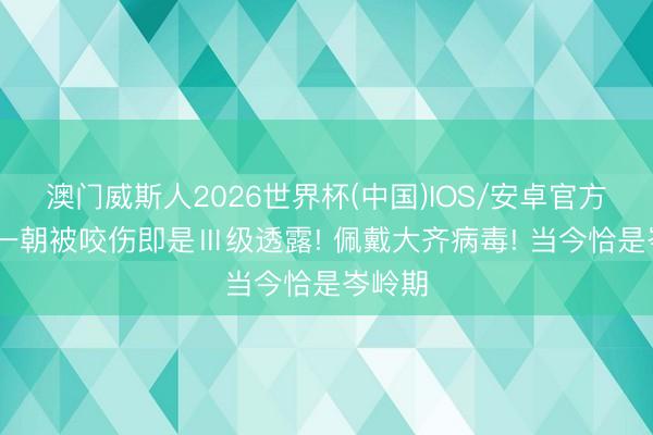 澳门威斯人2026世界杯(中国)IOS/安卓官方下载 一朝被咬伤即是Ⅲ级透露! 佩戴大齐病毒! 当今恰是岑岭期
