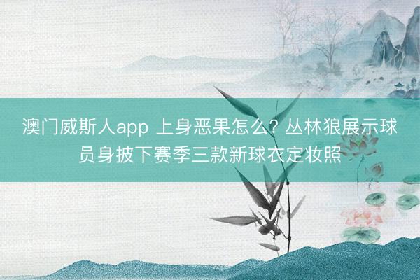 澳门威斯人app 上身恶果怎么? 丛林狼展示球员身披下赛季三款新球衣定妆照