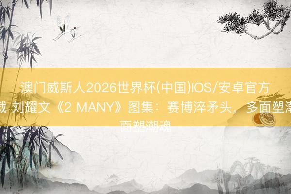 澳门威斯人2026世界杯(中国)IOS/安卓官方下载 刘耀文《2 MANY》图集：赛博淬矛头，多面塑潮魂