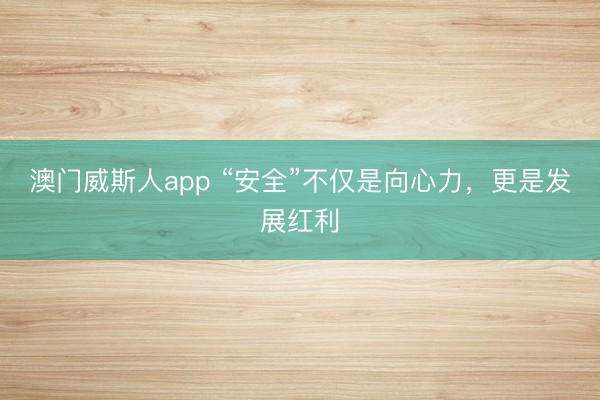 澳门威斯人app “安全”不仅是向心力，更是发展红利