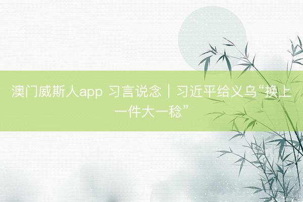 澳门威斯人app 习言说念｜习近平给义乌“换上一件大一稔”
